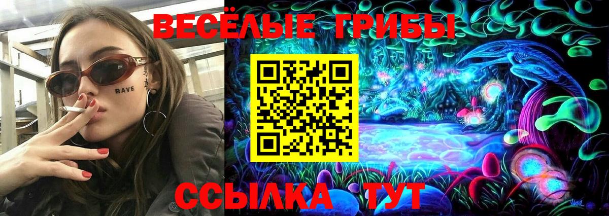 Прохладный  Галлюциногенные грибы ЛСД  Вход с VPN  Псилоцибиновые грибы Cubensis 